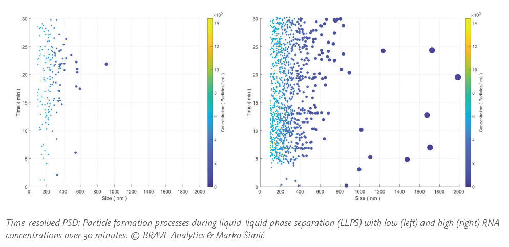 Showing the formation of particles in the presence of different RNA concentrations